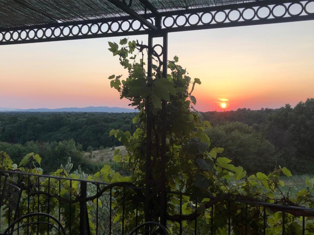 Canino Agriturismo Cerrosughero מראה חיצוני תמונה
