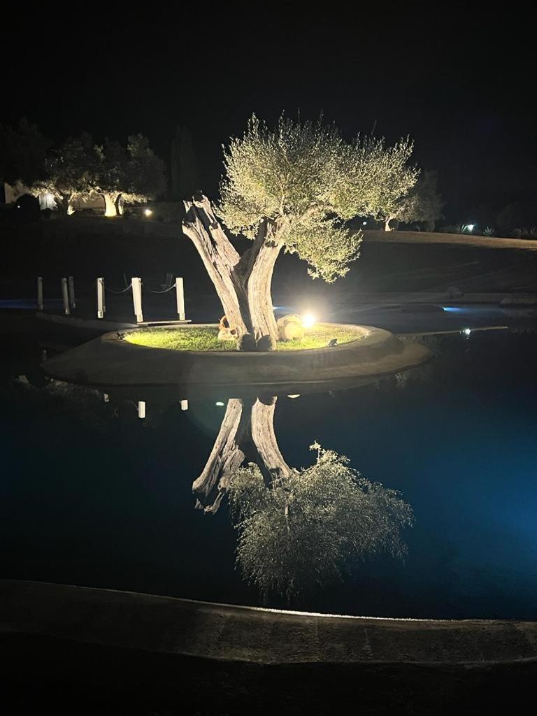 Canino Agriturismo Cerrosughero מראה חיצוני תמונה